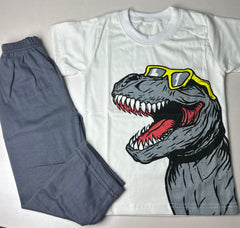 Boys Dinosaur Print T-Shirt and Trouser Set – Soft Jersey Summer Co-Ord