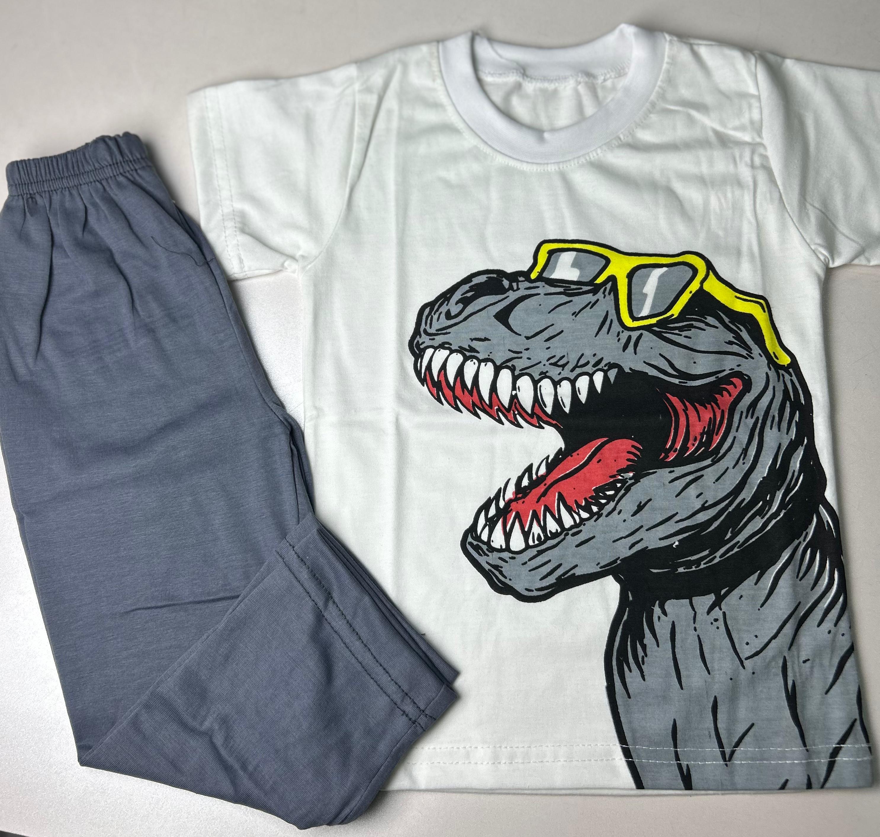 Boys Dinosaur Print T-Shirt and Trouser Set – Soft Jersey Summer Co-Ord